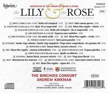 The Lily and the Rose - Adoration of the Virgin in Sound &amp; Stone, CD