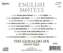 The Gesualdo Six - English Motets, CD