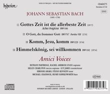 Johann Sebastian Bach (1685-1750): Kantaten BWV 106 &amp; 182, CD
