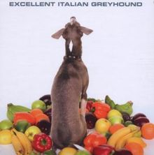 Shellac: Excellent Italian Greyhound, CD