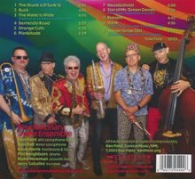 Texte: Songtitel und Zeiten (z. B. "The Skunk is D'funk'd" 6:51). Name der Band: Revolutionary Snake Ensemble. Darunter Mitgliedsnamen und Instrumente. Logo unten rechts. Bunt gekleidete Musiker posieren mit Instrumenten.