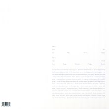 Devendra Banhart: Vast Ovoid EP, LP