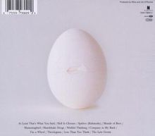 Wilco: A Ghost Is Born, CD