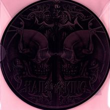 Avenged Sevenfold: Hail To The King (Picture Disc), 2 LPs