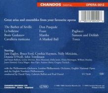 Opera in English - Great Arias &amp; Ensembles Vol.1, CD
