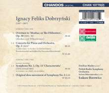 Ignacy Feliks Dobrzynski (1807-1867): Symphonie Nr.2 "Characteristic", 2 CDs