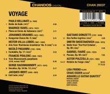 Lisa Friend - Voyage, CD