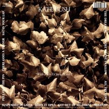 Kate Bush (geb. 1958): The Dreaming (2018 Remaster) (180g), LP