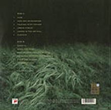 Hauschka (Volker Bertelmann) (geb. 1966): A Different Forest (180g), LP