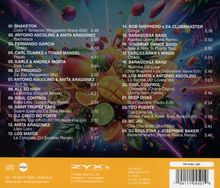 Textliste von Musiktiteln mit Künstlernamen und Remix-Informationen auf farbigem Hintergrund voller Früchte und Blätter.