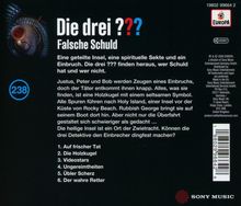 "Die drei ??? Falsche Schuld" und "238" sind prominent. Text beschreibt einen Einbruch, eine spirituelle Sekte und eine Insel.
