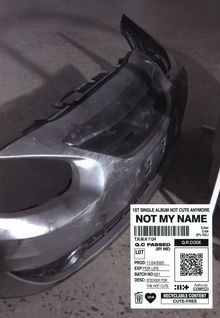 Ein abgenutzter Autostoßfänger mit einem Etikett, das Informationen zu einem Album "NOT MY NAME" enthält.