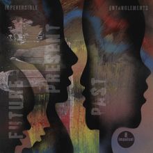 "IRREVERSIBLE", "ENTANGLEMENTS", "FUTURE", "PRESENT", "PAST". Silhouetten überlagern sich in bunten, abstrakten Farben. Logo unten.