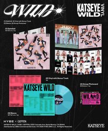 "Katseye Wild Vinyl" in weißer Schrift, daneben ein türkisfarbener Vinyl- und rosa Fotokarten. Verschiedene Artworks.