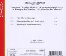 Richard Strauss (1864-1949): Kammermusik Vol.7, CD