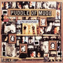 Puddle Of Mudd: Life On Display (180g), 2 LPs