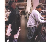 DJ Shadow: Endtroducing (HalfSpeed Remaster) (180g) (Limited 25th Anniversary Edition), 2 LPs