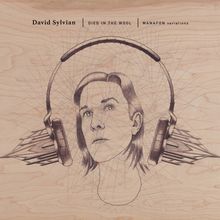 David Sylvian: Died In The Wool (Manafon Variations), 2 LPs