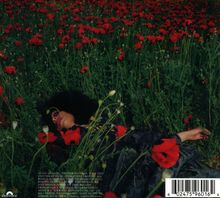 Ein Feld voller roter Blumen, in dem eine Person liegt, teilweise verborgen, umgeben von leuchtendem Grün.