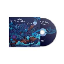 "The Colors of Rain" steht in weißer Schrift. Illustration: Eine Person umgeben von blauen Blumen und Wolken unter einem Nachthimmel.