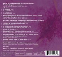 Texte: Werktitel und Künstler, Arrangements und Dauer der Musikstücke, Gesamtdauer 49:56. Hintergrund in Lila.