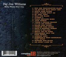 Big Joe Williams (Guitar/Blues): Baby Please Don't Go, CD