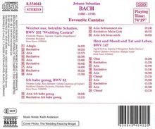 Johann Sebastian Bach (1685-1750): Kantaten BWV 82,147,202, CD
