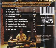 Chitravina N Ravikiran: Rays And Forays, CD