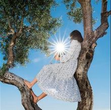 Eine Person in einem langen Kleid sitzt in einem Baum, hält ein strahlendes Licht unter blauem Himmel.