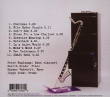 Peter Fuglsang: File Under Purple, CD