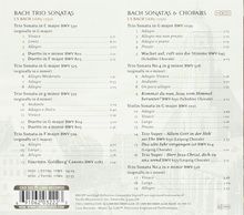 Palladian Ensemble - Bach, 2 CDs