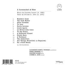 "A Screenshot of Now" von Giacomo Susani, Texte von Chinwe D. John. 14 Stücke, darunter "Numbers Game" und "On a Park Bench".