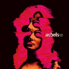 Text "nebula Holy Shit". Verzerrtes Gesicht mit psychedelischen rosa und orangen Mustern.