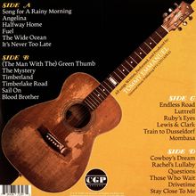 Tommy Emmanuel: The Best Of Tommysongs (180g), 2 LPs