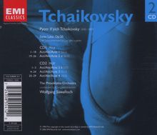 Peter Iljitsch Tschaikowsky (1840-1893): Schwanensee op.20, 2 CDs