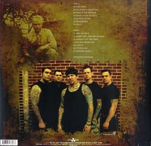 Agnostic Front: Another Voice (Limited Edition) (Swirl Vinyl), LP