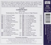 Leopold Godowsky (1870-1938): Klavierwerke Vol.4, CD