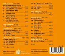 Musik für Flöte &amp; Gitarre "Garden Party", Super Audio CD