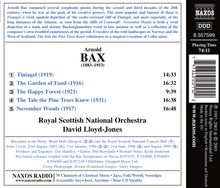 Arnold Bax (1883-1953): Orchesterwerke, CD