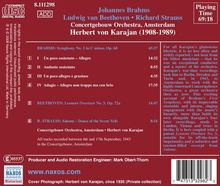 Rückansicht vergrößern