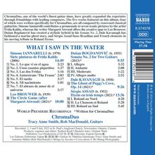 ChromaDuo - What I Saw In The Water, CD