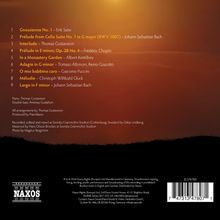 Liste von Musikstücken mit Komponisten. Im Hintergrund ein Sonnenuntergang mit Schatten einer Landschaft. NAXOS-Logo unten.