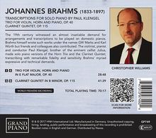 Johannes Brahms (1833-1897): Transkriptionen für Klavier, CD