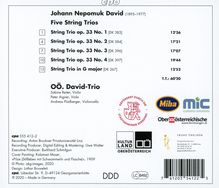Johann Nepomuk David (1895-1977): Streichtrios op.33 Nr.1-4, CD