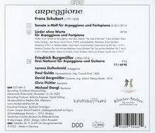 Franz Schubert (1797-1828): Arpeggione - Sonate D.821, CD