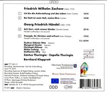 Friedrich Wilhelm Zachow (1663-1712): Kantaten, CD