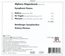 Alphons Diepenbrock (1862-1921): Symphonische Dichtungen, CD