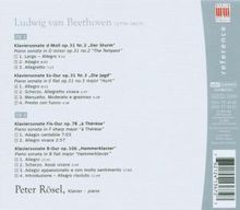 Ludwig van Beethoven (1770-1827): Klaviersonaten Nr.17,18,24,29, 2 CDs
