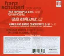 Franz Schubert (1797-1828): Impromptus D.935 Nr.1-4, CD