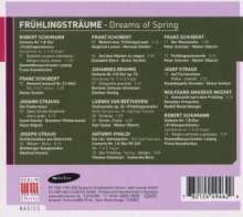 Frühlingsträume, CD